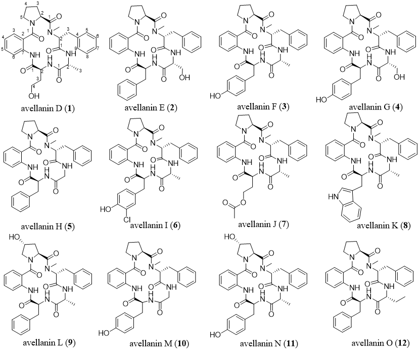 1750647961982759.png 图片4.png